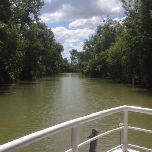 Croisière d'Artagnan Tourisme fluvial sur la Baïse : La rivière Baïse