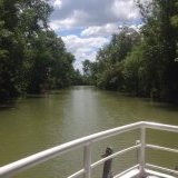 Croisière d'Artagnan Tourisme fluvial sur la Baïse : La rivière Baïse