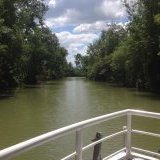 Croisière d'Artagnan Tourisme fluvial sur la Baïse : La rivière Baïse