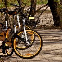 Croisière d'Artagnan Tourisme fluvial sur la Baïse : Location de vélos