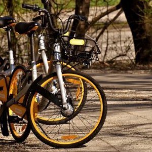 Croisière d'Artagnan Tourisme fluvial sur la Baïse : Location de vélos